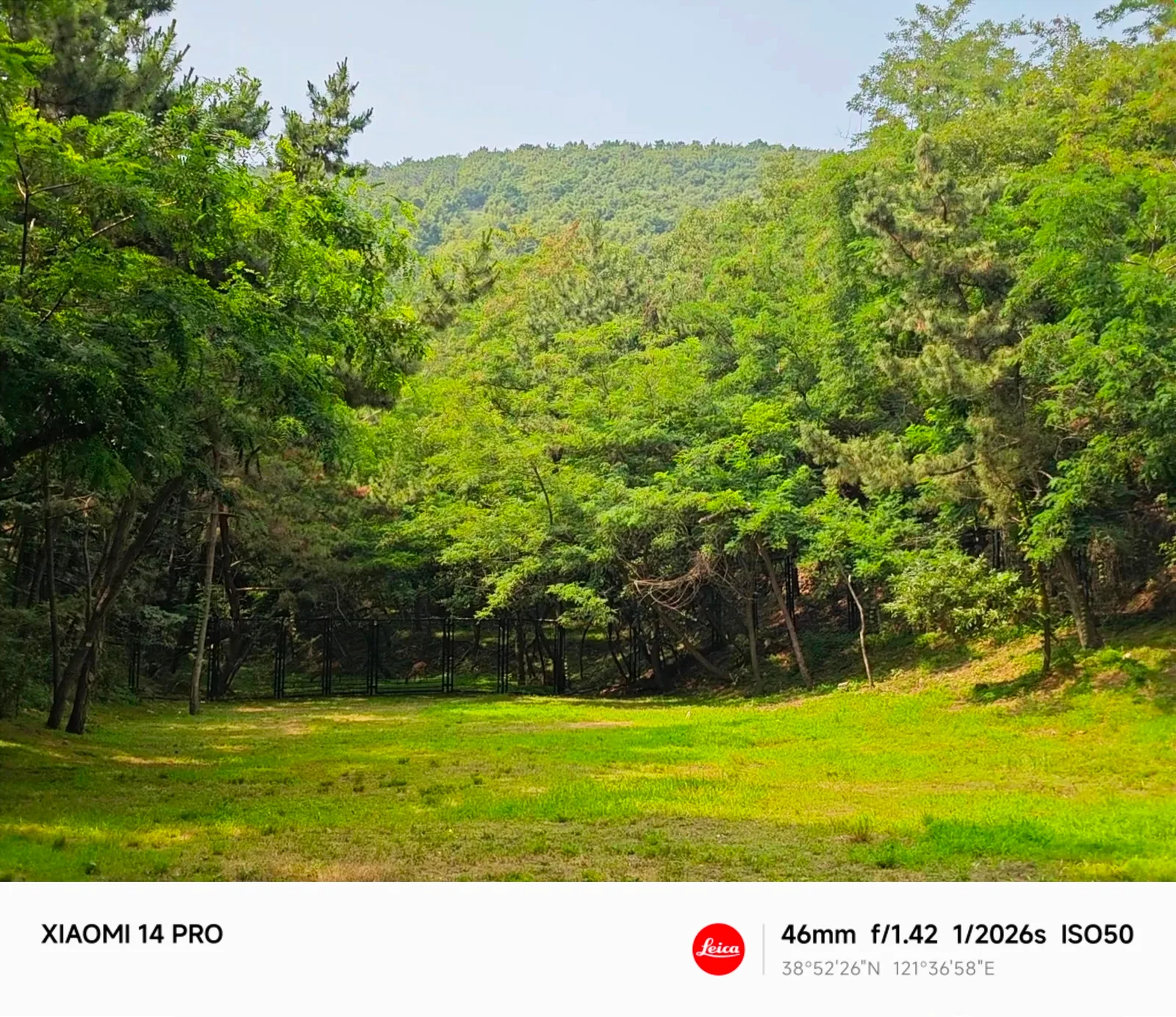 1000053219